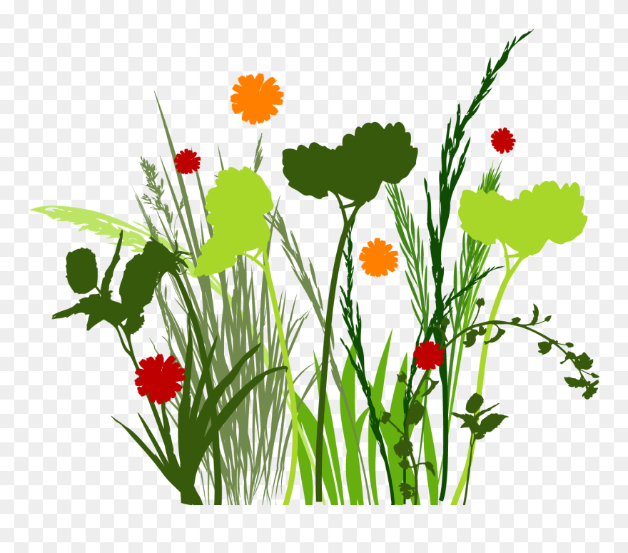 Free Png Graphics - Clip Art Transparent Png