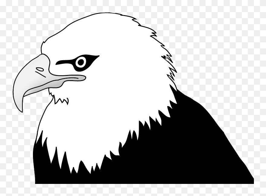 Bald Eagle Drawing Clip Art - Bald Eagle Clip Art Black And White - Png Download