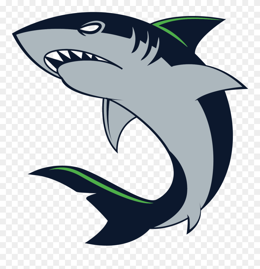 Shark Vector Graphics Illustration Clip Art Drawing - Shark Drawing - Png Download
