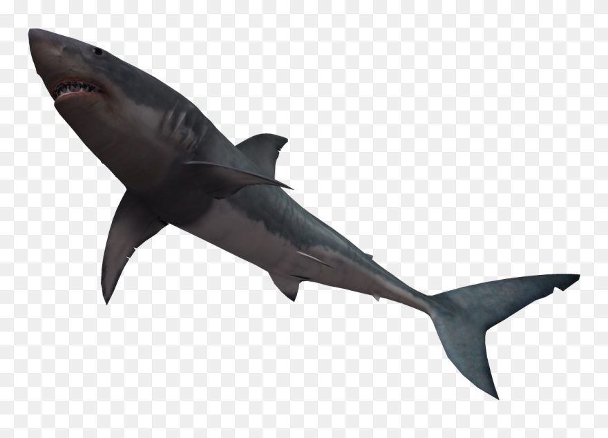 Bull Shark Great White Shark Clip Art - Shark Jumping With Transparent Background - Png Download