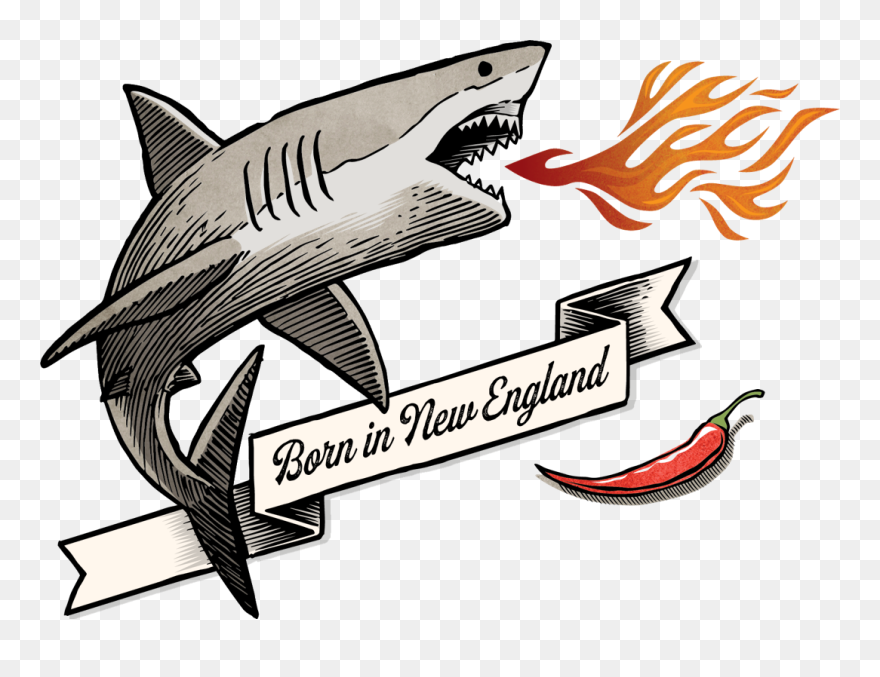 Spicy Shark Logo Clipart