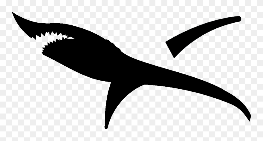 Cricut Great White Shark Silhouette Clip Art - Png Download