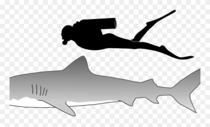 Great White Shark Vs Sandtiger Shark Clipart