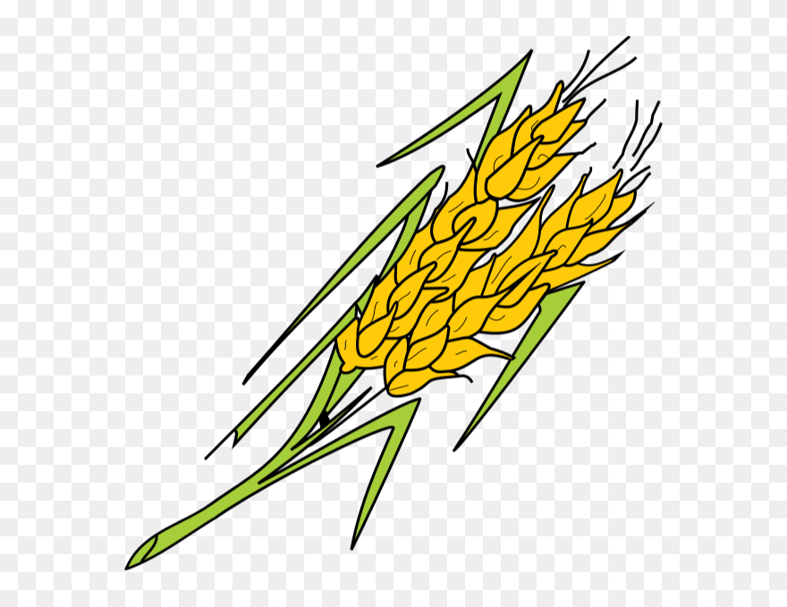 Gluten Sensitivity - Illustration Clipart