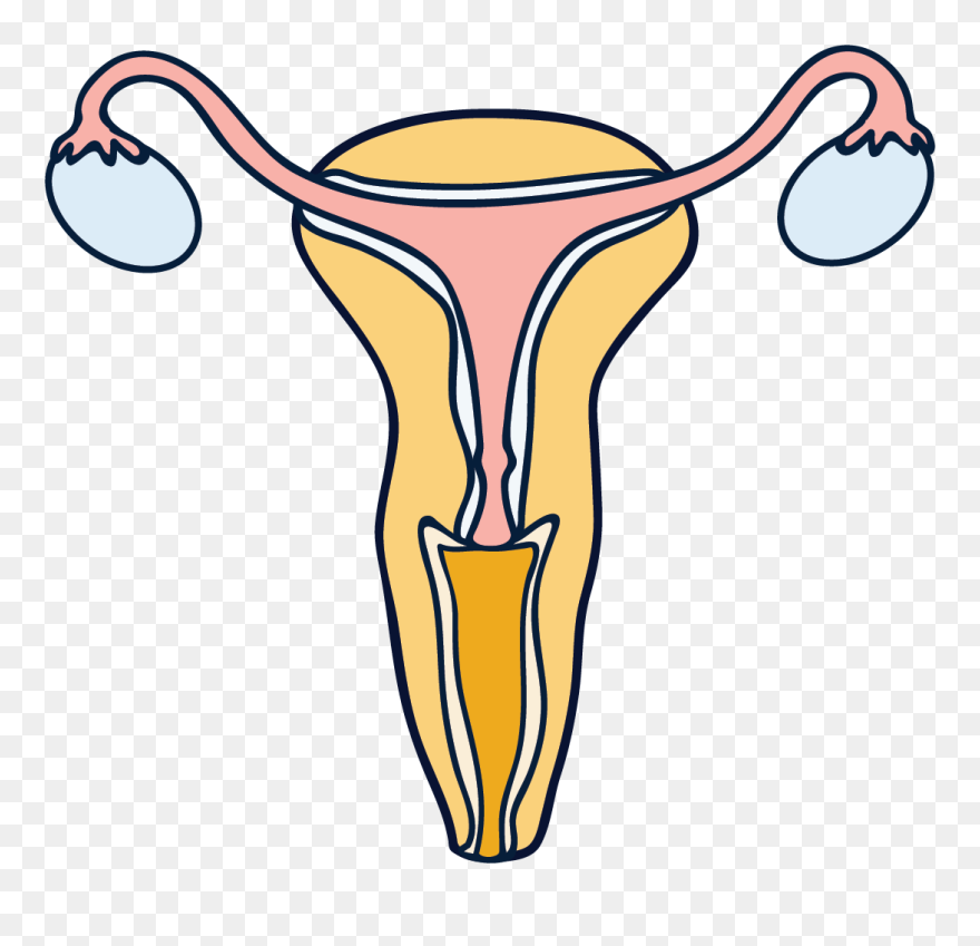 Clip Art - Png Download