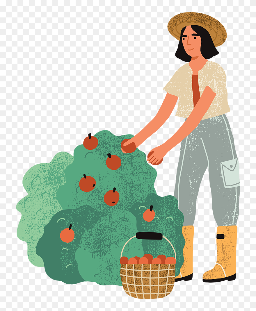 Showhomes - Illustration Clipart