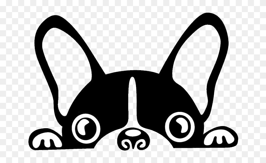 Boston Terrier French Bulldog Brazilian Terrier Puppy - Cartoon French Bulldog Face Clipart