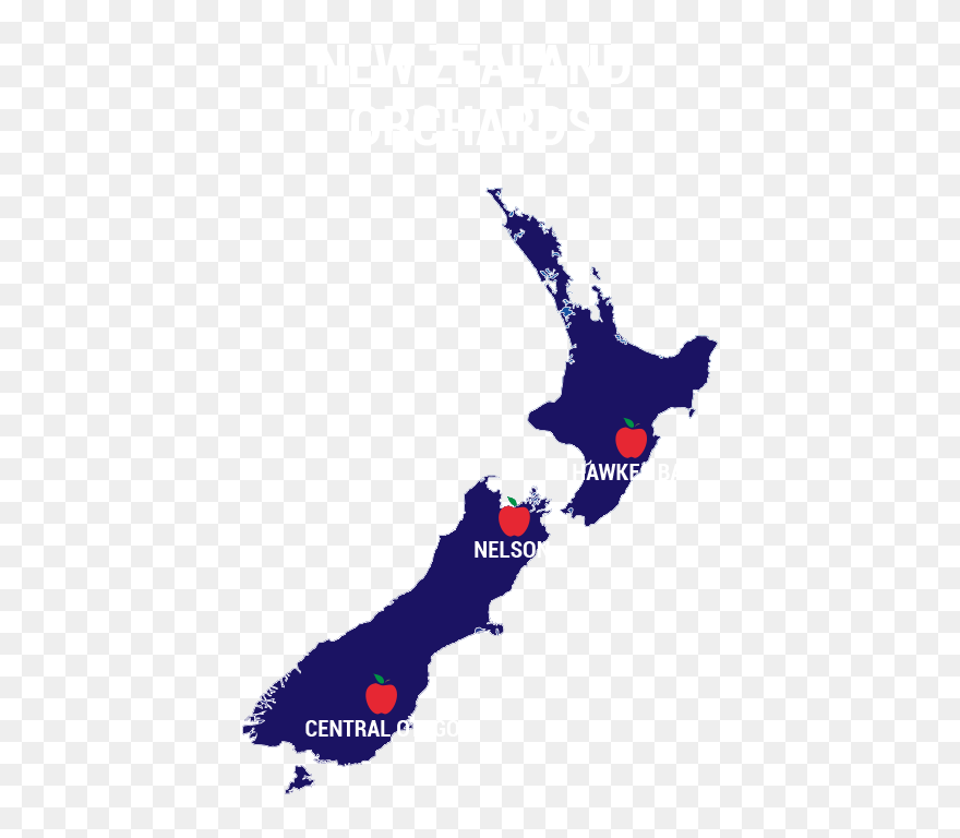 New Zealand Nelson University Clipart