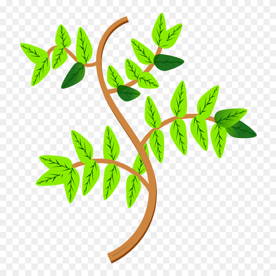 Leaves And Branches Clipart - Rama Clipart - Png Download