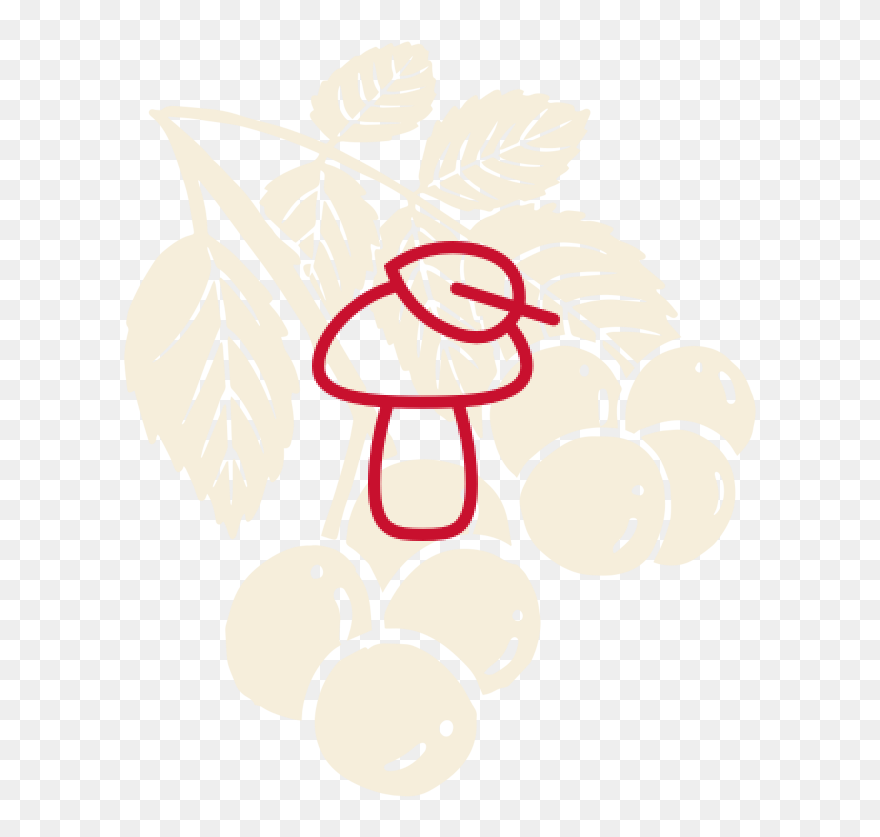 Illustration Clipart