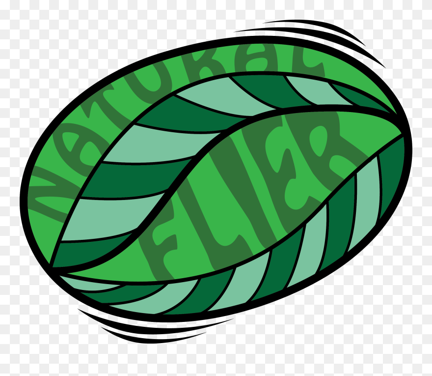 Clip Art - Png Download