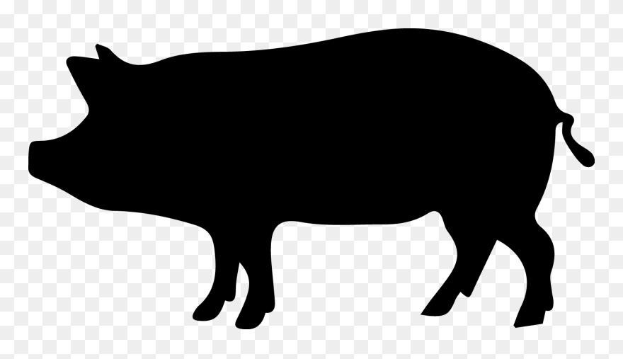 Wild Boar Clip Art - Porco Png Transparent Png