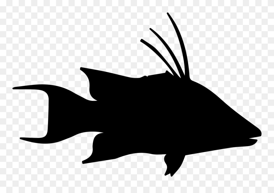 Fish Hog Snapper Shape - Portable Network Graphics Clipart