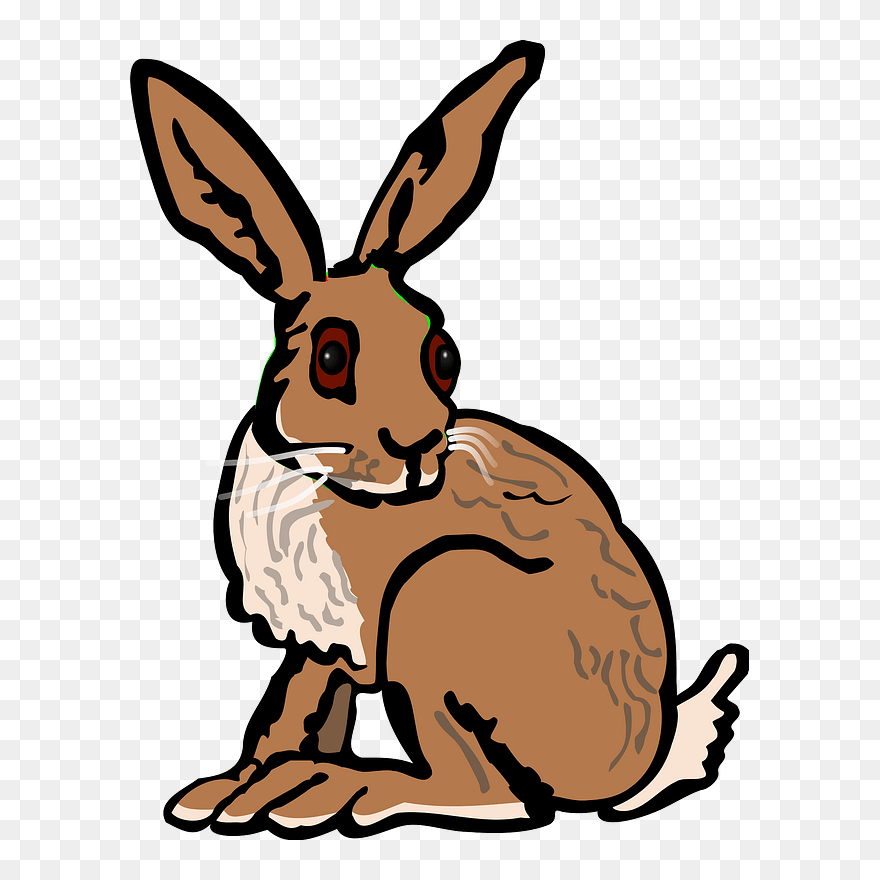 Hare Clipart - Clip Art Of A Hare - Png Download