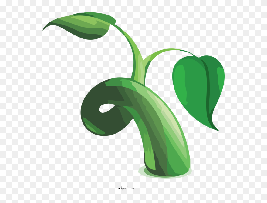 Transparent Nature Green Leaf Plant For Tree For Nature - Leaf Clipart