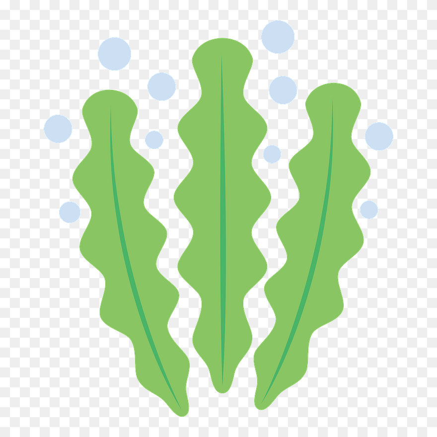 Seaweed Clipart - Graphics - Png Download
