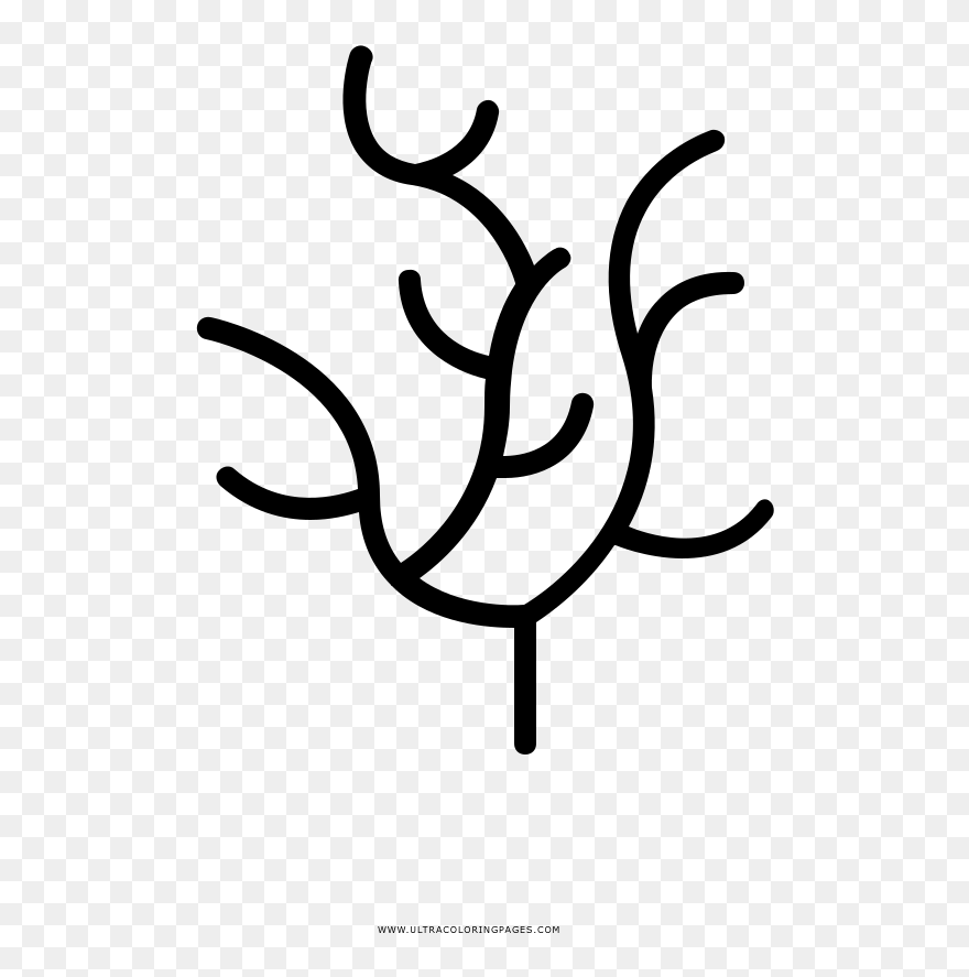 Transparent Seaweed Clipart - Coloring Book - Png Download