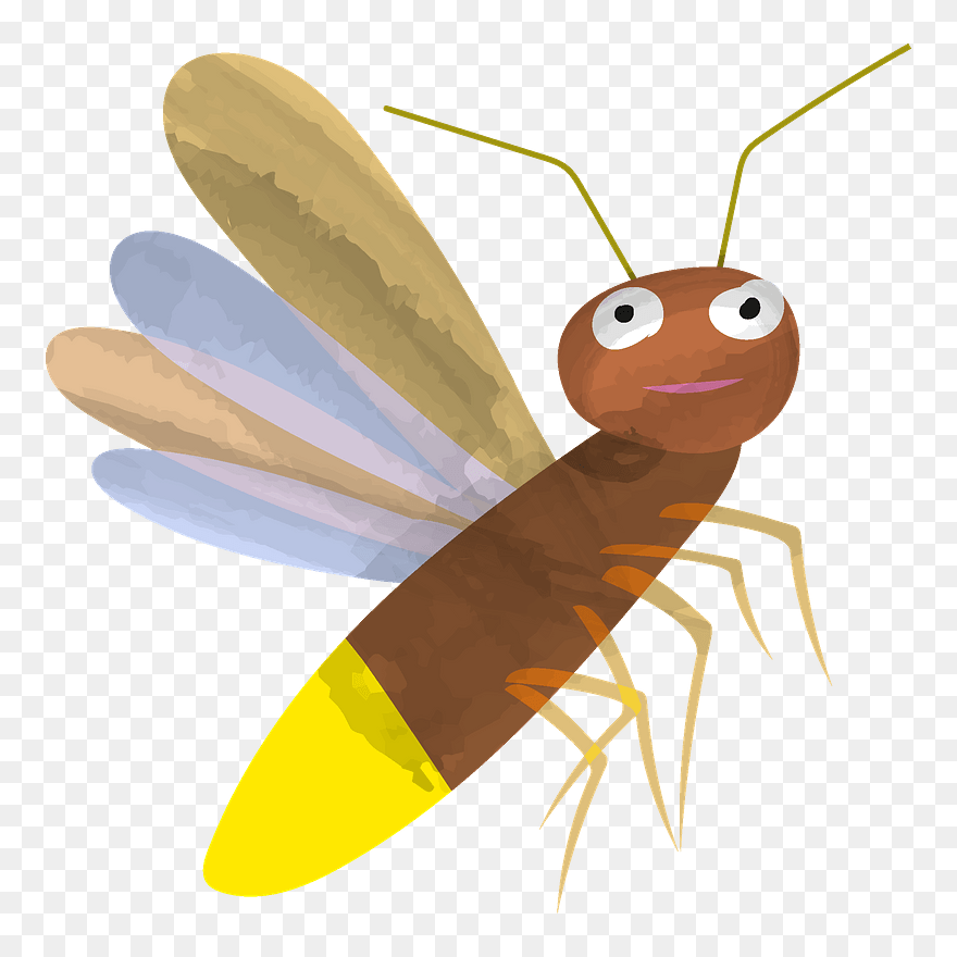 Firefly Clipart - Net-winged Insects - Png Download