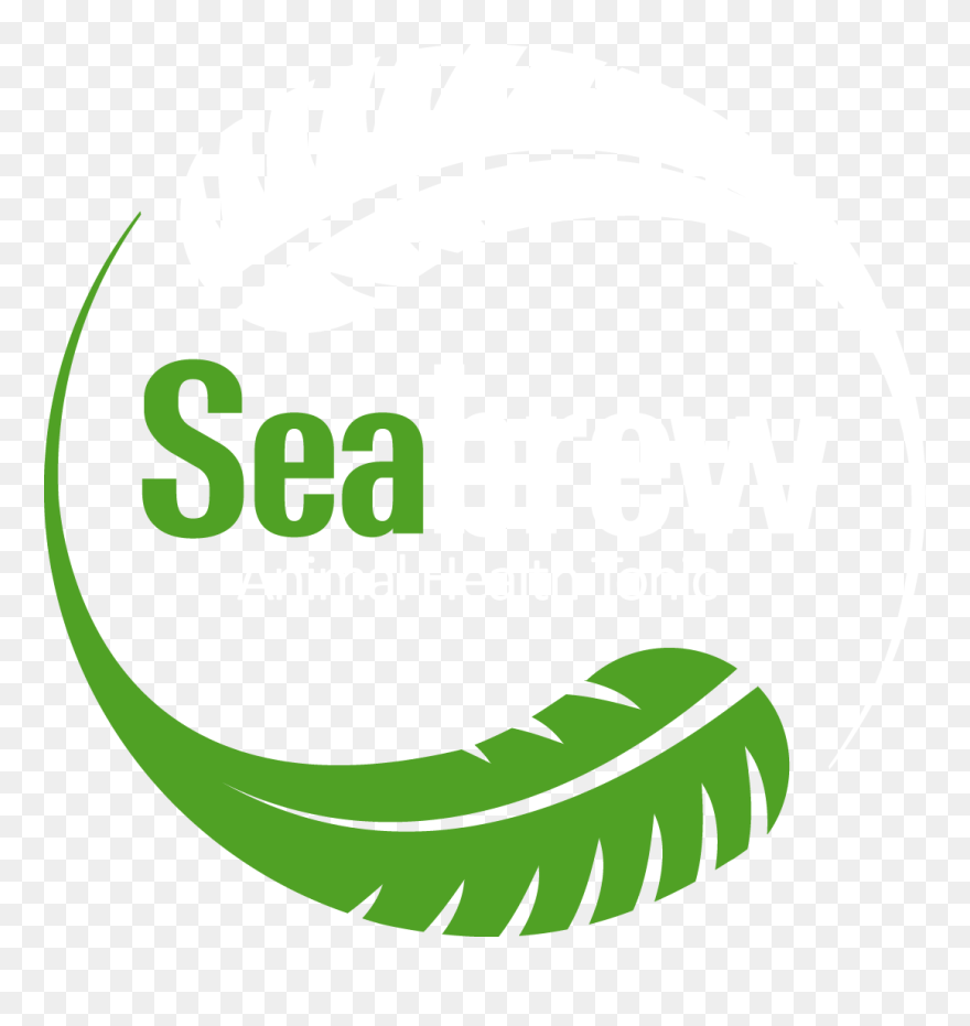Seaweed Clipart Png , Png Download - Illustration Transparent Png