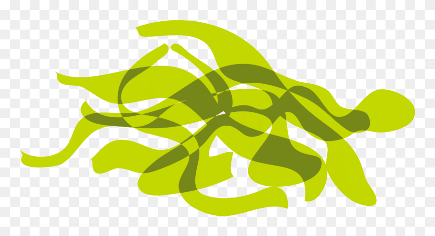 Clip Picture Kelp - Vitamin C - Png Download