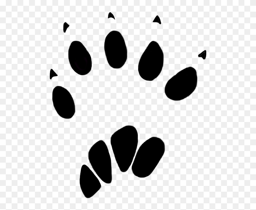 Animal Tracks Png - Squirrel Animal Footprints Clipart