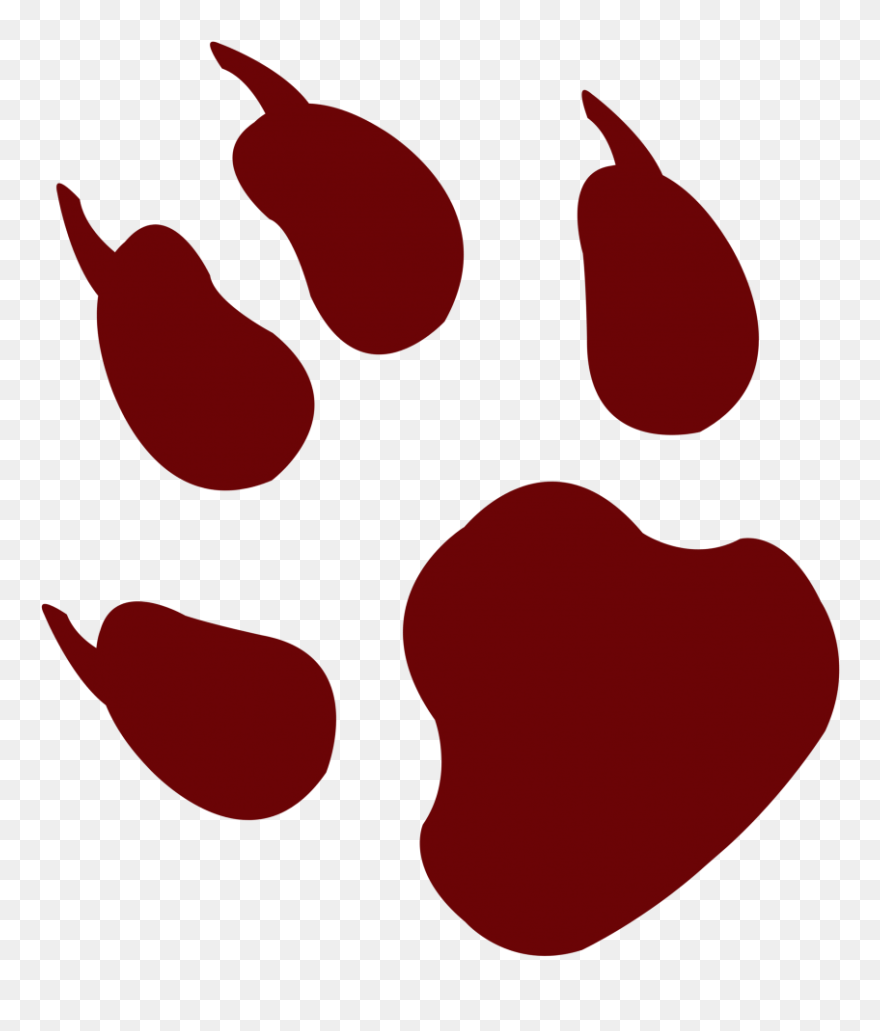 Animal Footprint Png Image - Animal Footprint Image Png Clipart