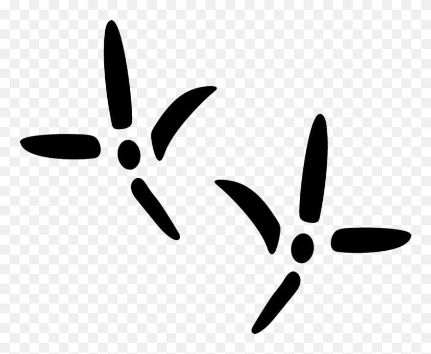 Clipart Chicken Track - Grouse Tracks - Png Download