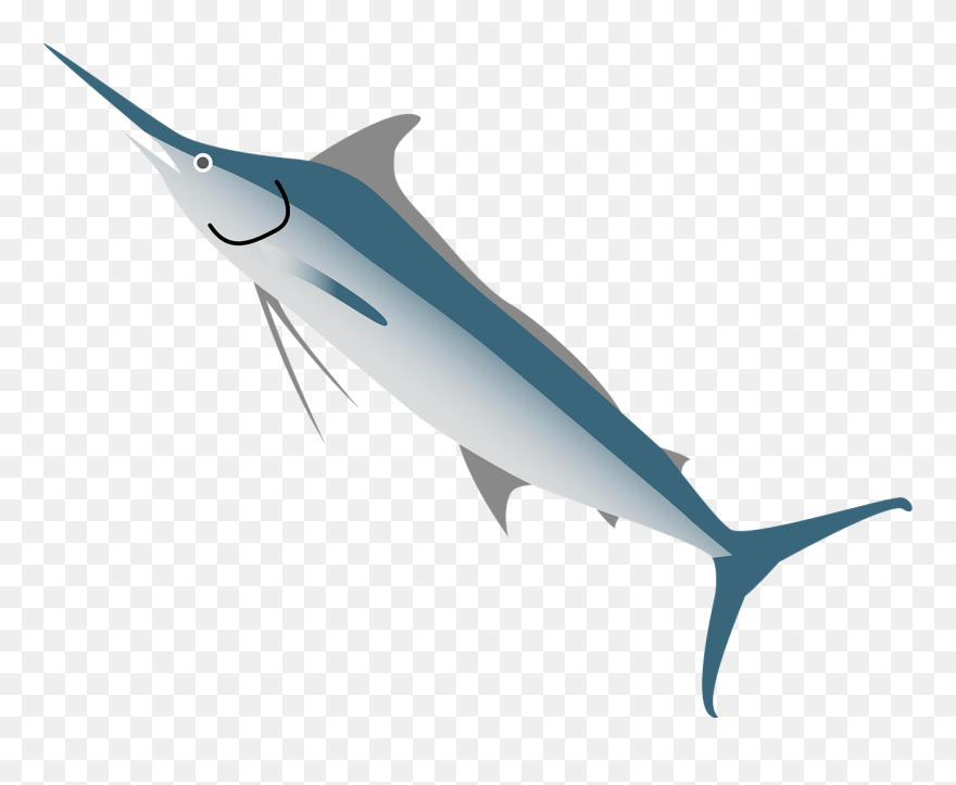 カジキ の イラスト Clipart