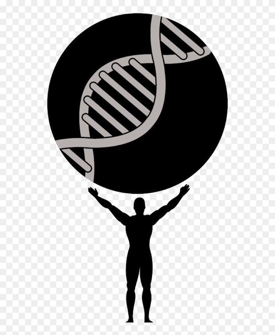 Metis Foundation Logo Clipart