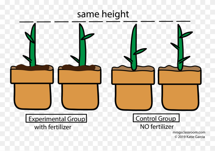 Plant With Fertilizer And Plant Without Fertilizer Clipart