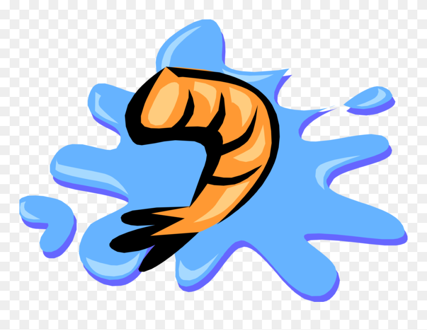 Vector Illustration Of Decapod Marine Crustacean Prawn - Water Puddle Animated Png Clipart