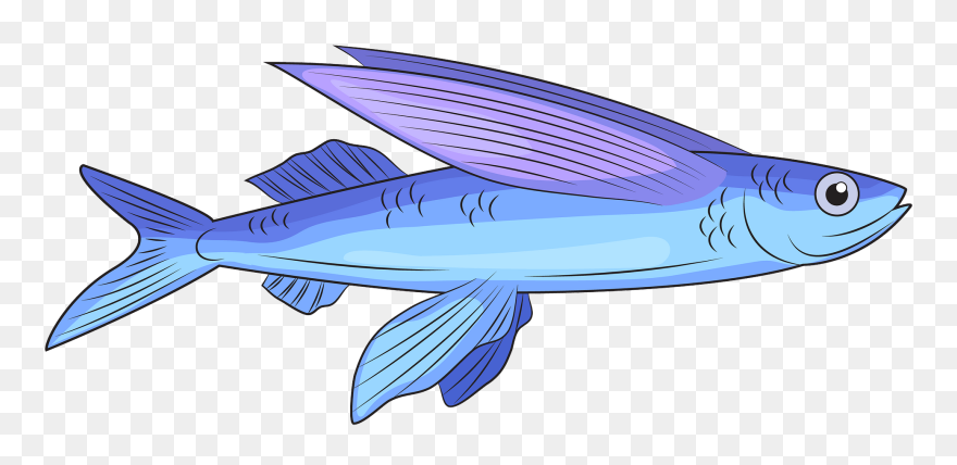 Flying Fish Clipart - Png Download