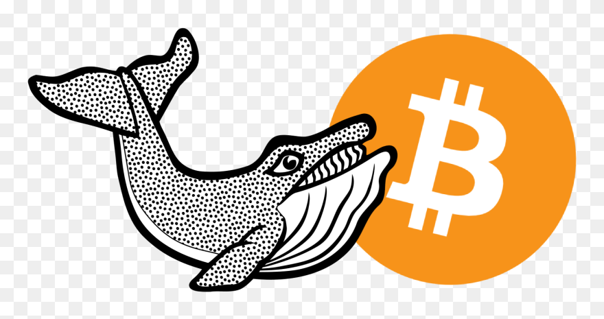 Whale - Bitcoin Logo Png For T Shirt Clipart
