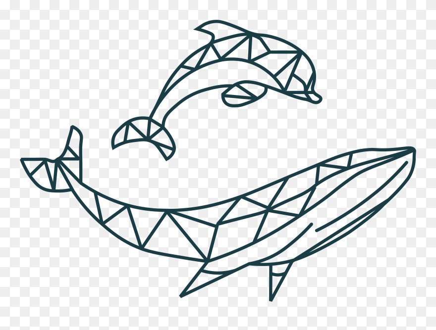 Hwdt Logo - Hebridean Whale And Dolphin Trust Clipart