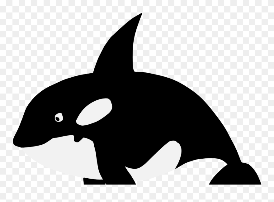 Marine Mammal Killer Whale Clip Art - Sea World Svg Files - Png Download