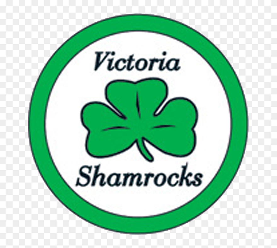 Action Logo Brand Education Plan Free Clipart Hq - Shamrock - Png Download