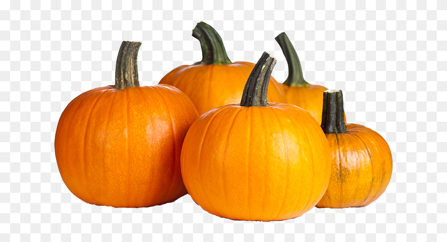 Dubai Festival City Mall Halloween Clipart