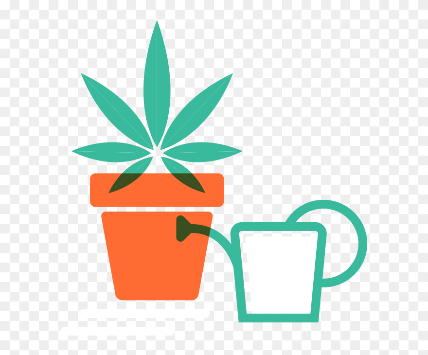 Clip Art - Png Download