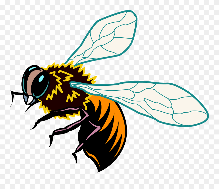 Honey Bee Vector Ai Clipart
