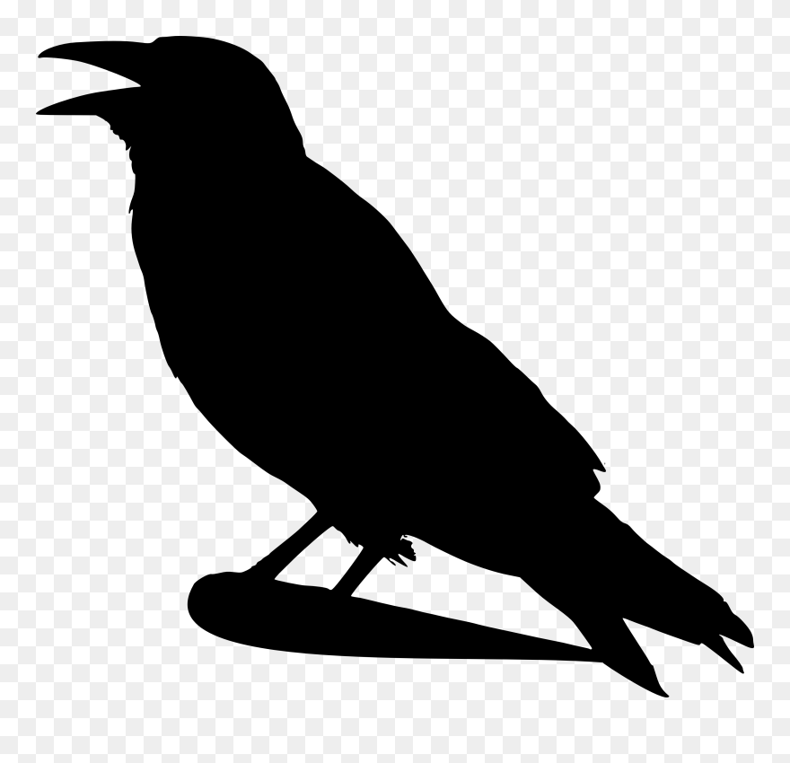 Crow Clipart - Png Download