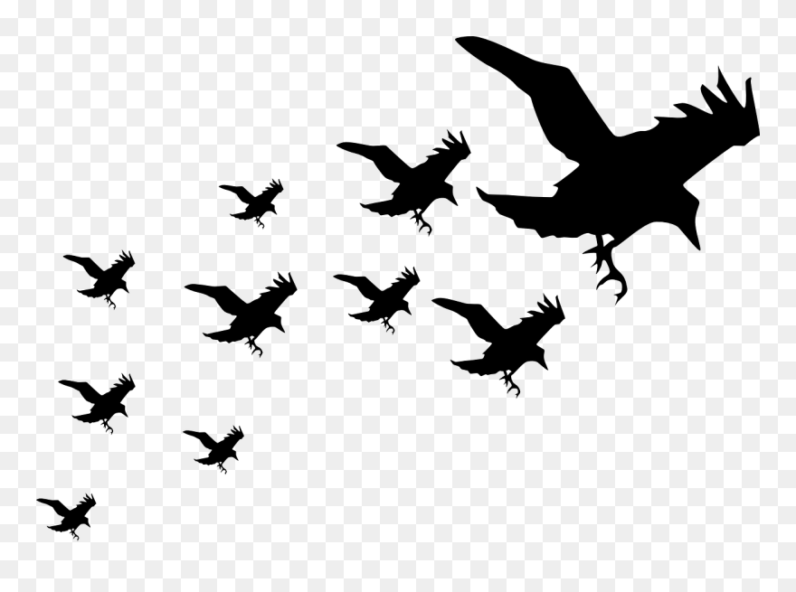 Wall Decal Silhouette Bird Image An Enchantment Of - Group Of Birds Outline Clipart