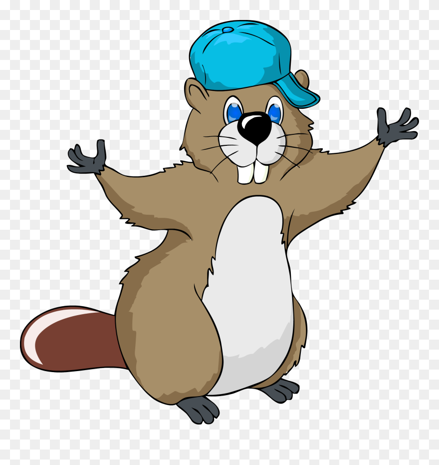 Beaver Cartoon Png Clipart