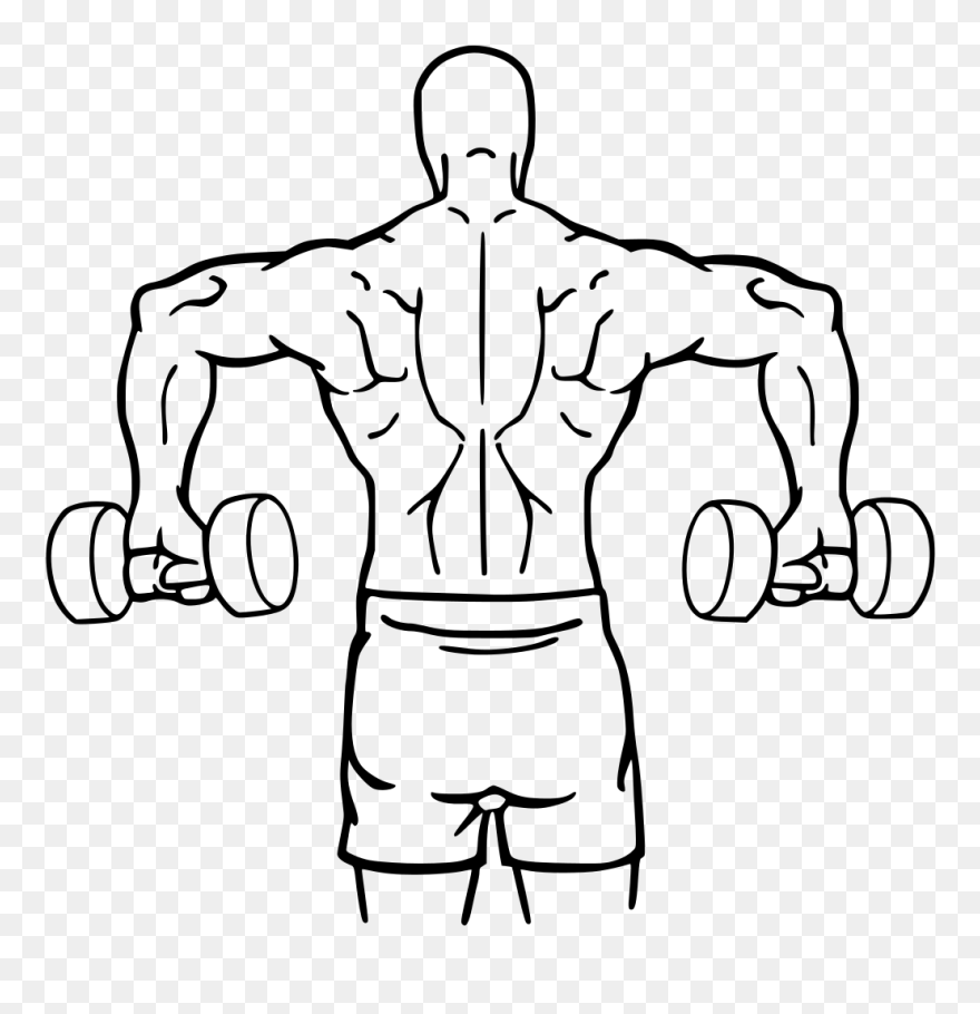 Transparent Hand Weights Clipart - Cuban Press - Png Download