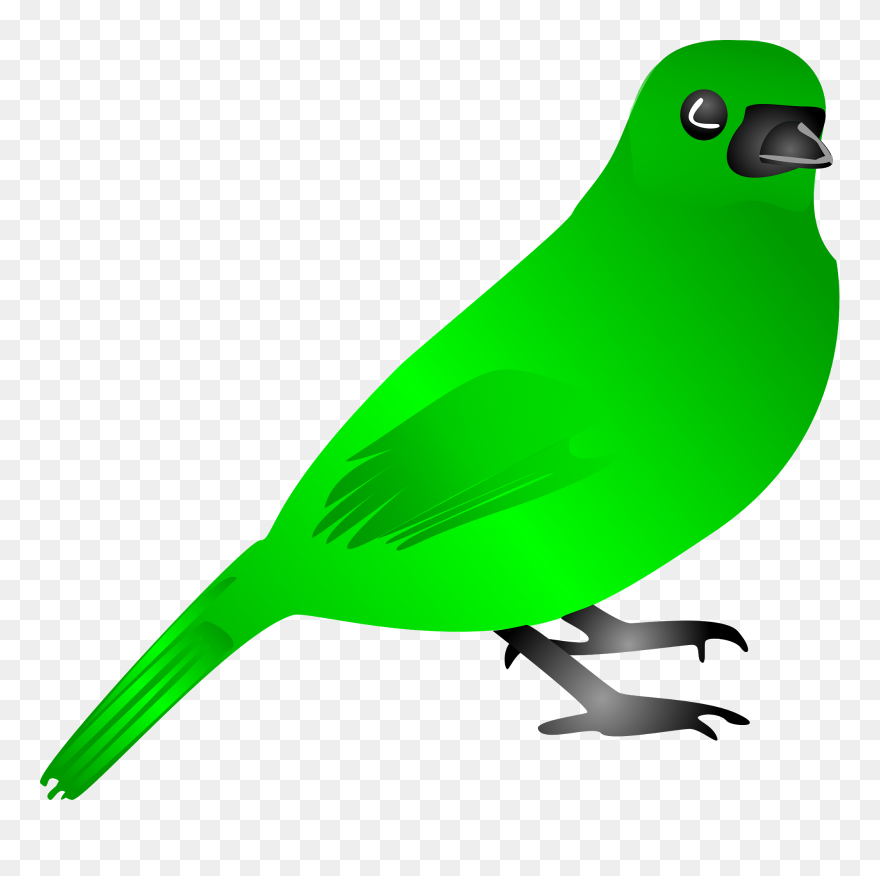 Angry Bird Clipart Black And White - Green Bird Clipart - Png Download
