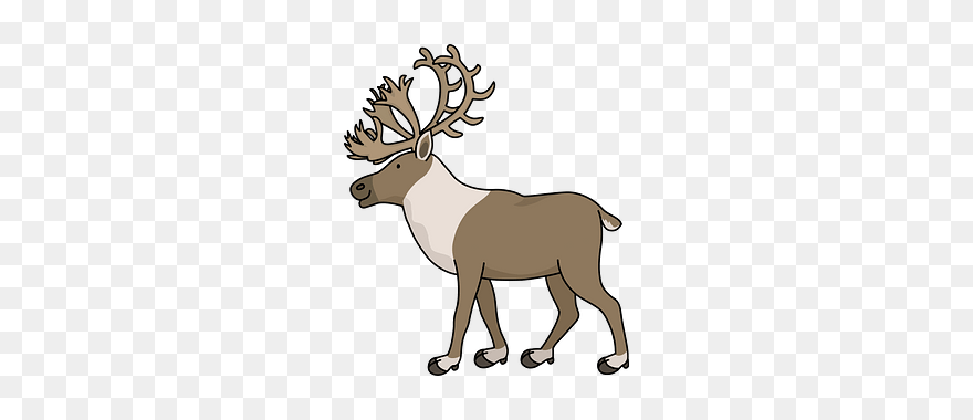 Cartoon Reindeer Clipart - Png Download
