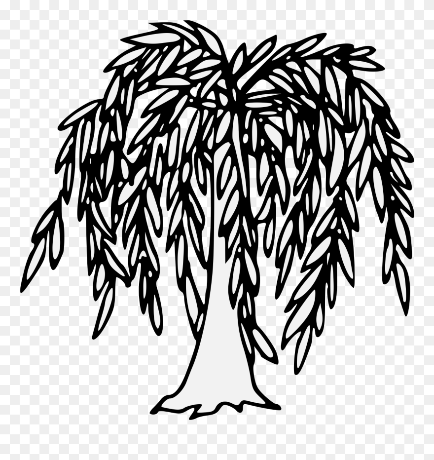 Willow Drawing Detailed - Traceable Willow Tree Clipart
