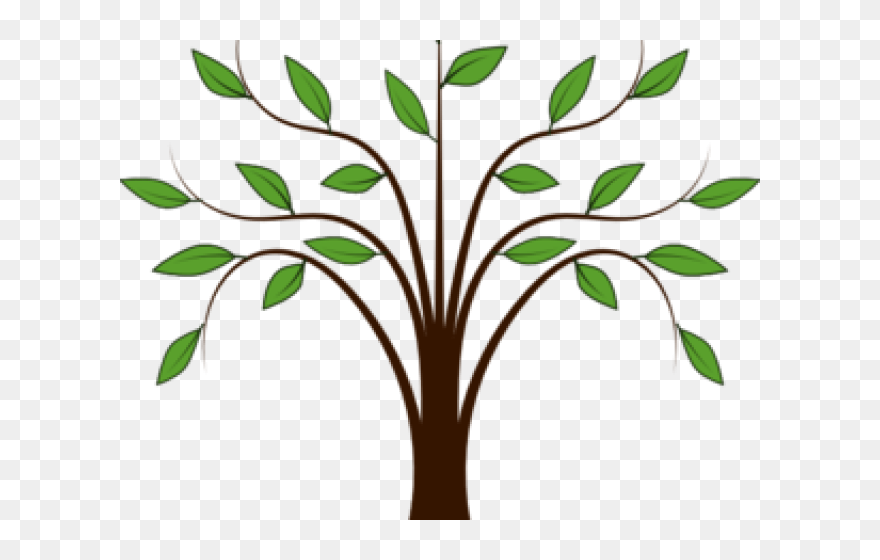 Willow Tree Clipart - Simple Transparent Background Tree Clipart - Png Download