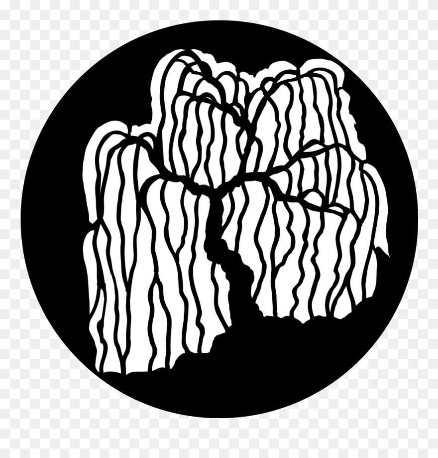 Transparent Weeping Willow Clipart - Drawing - Png Download