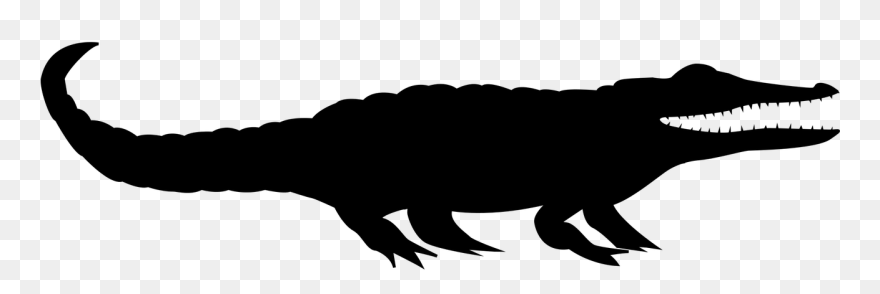 Tyrannosaurus Alligators Clip Art Beak Fauna - Clip Art - Png Download