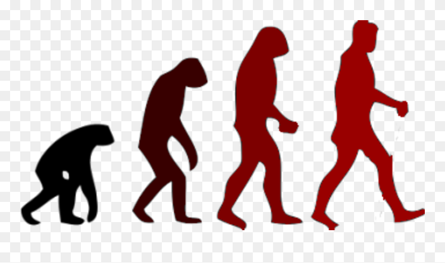 March Of Progress Human Evolution Neanderthal - Monkey To Human Stages Clipart